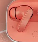 Ear Bud